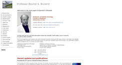 Desktop Screenshot of bruland.info