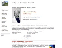 Tablet Screenshot of bruland.info